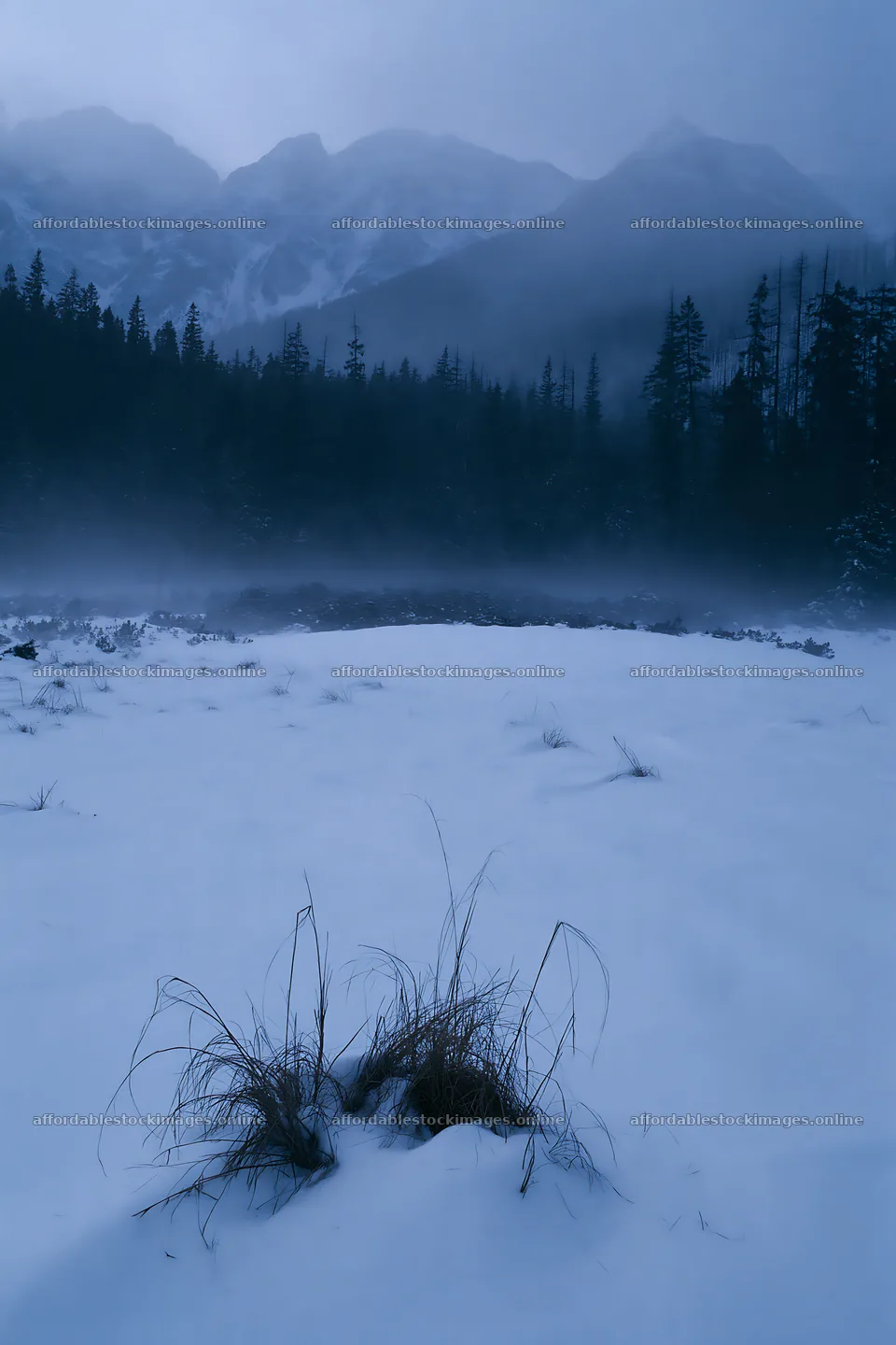 Snowbound meadow with grass in the foreground and mountains – stock images 6480x9722