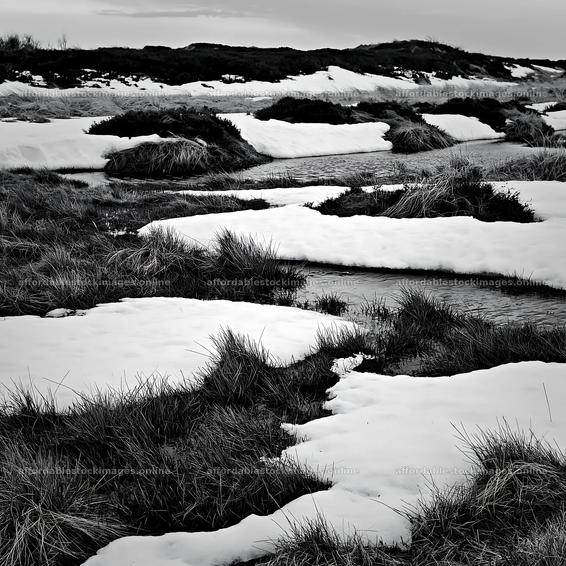 Dune meadow covered with snow in winter season – stock images 7938x7938