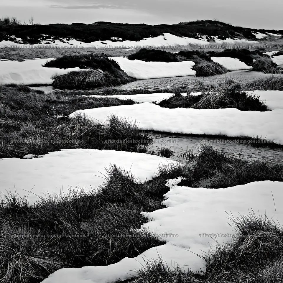 Dune meadow covered with snow in winter season – stock images 7938x7938