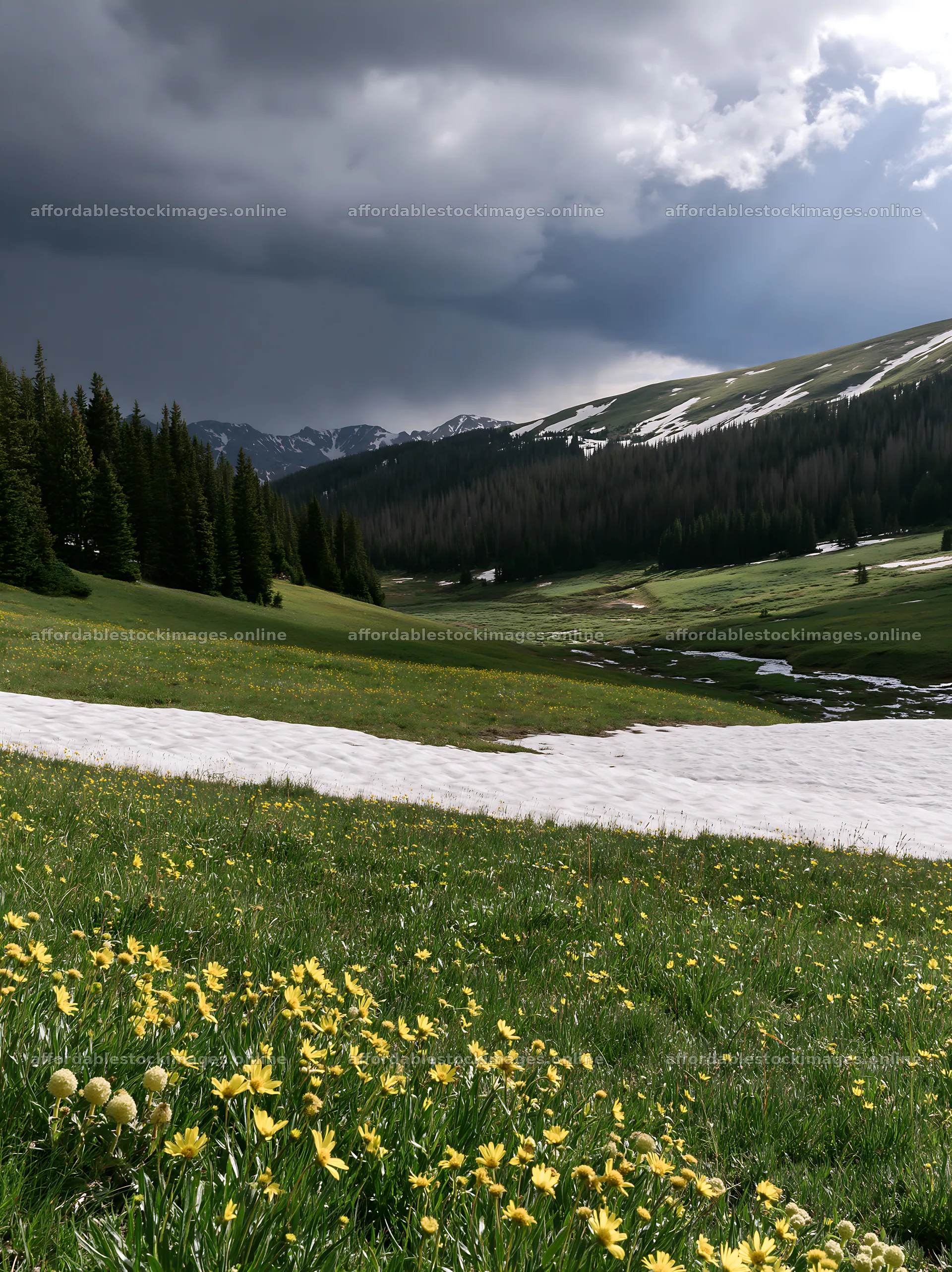 Snowy Rocky Mountain Park meadow with flowers and dark clouds – stock images 6866x9174