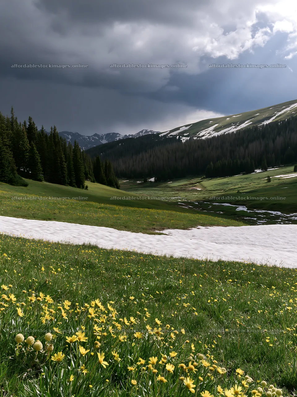 Snowy Rocky Mountain Park meadow with flowers and dark clouds – stock images 6866x9174