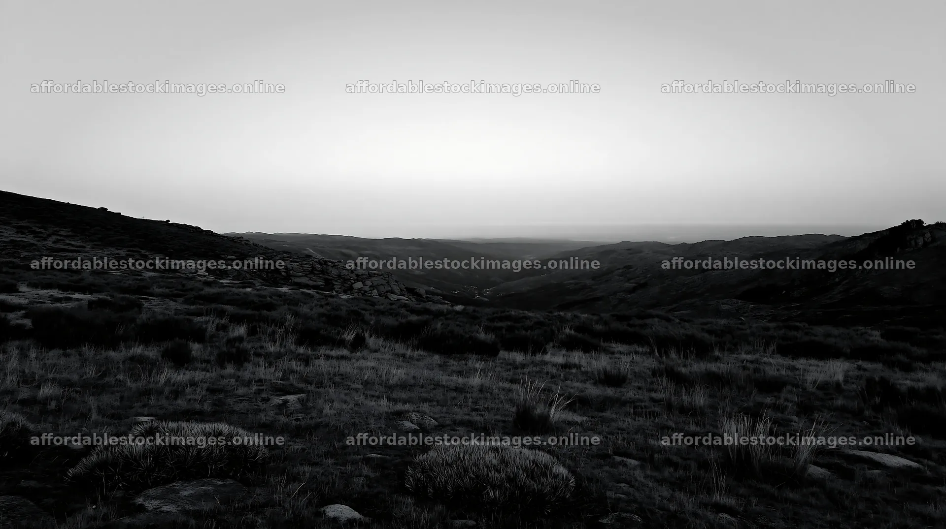 Moonrise over the meadow in the mountain valley – stock images 10608x5938