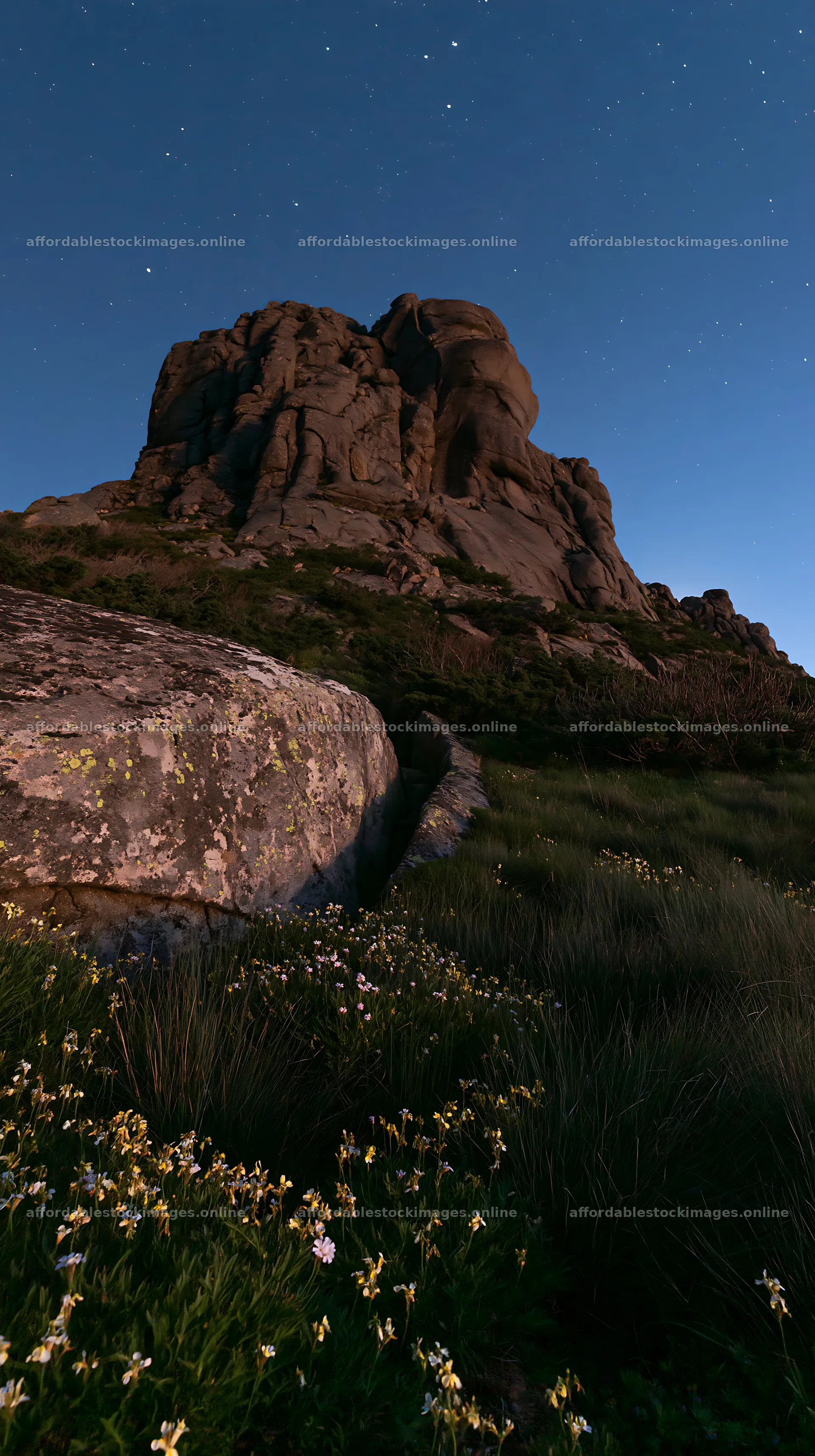 Moonrise over a rocky hill with flowers in the meadow – stock images 5938x10608