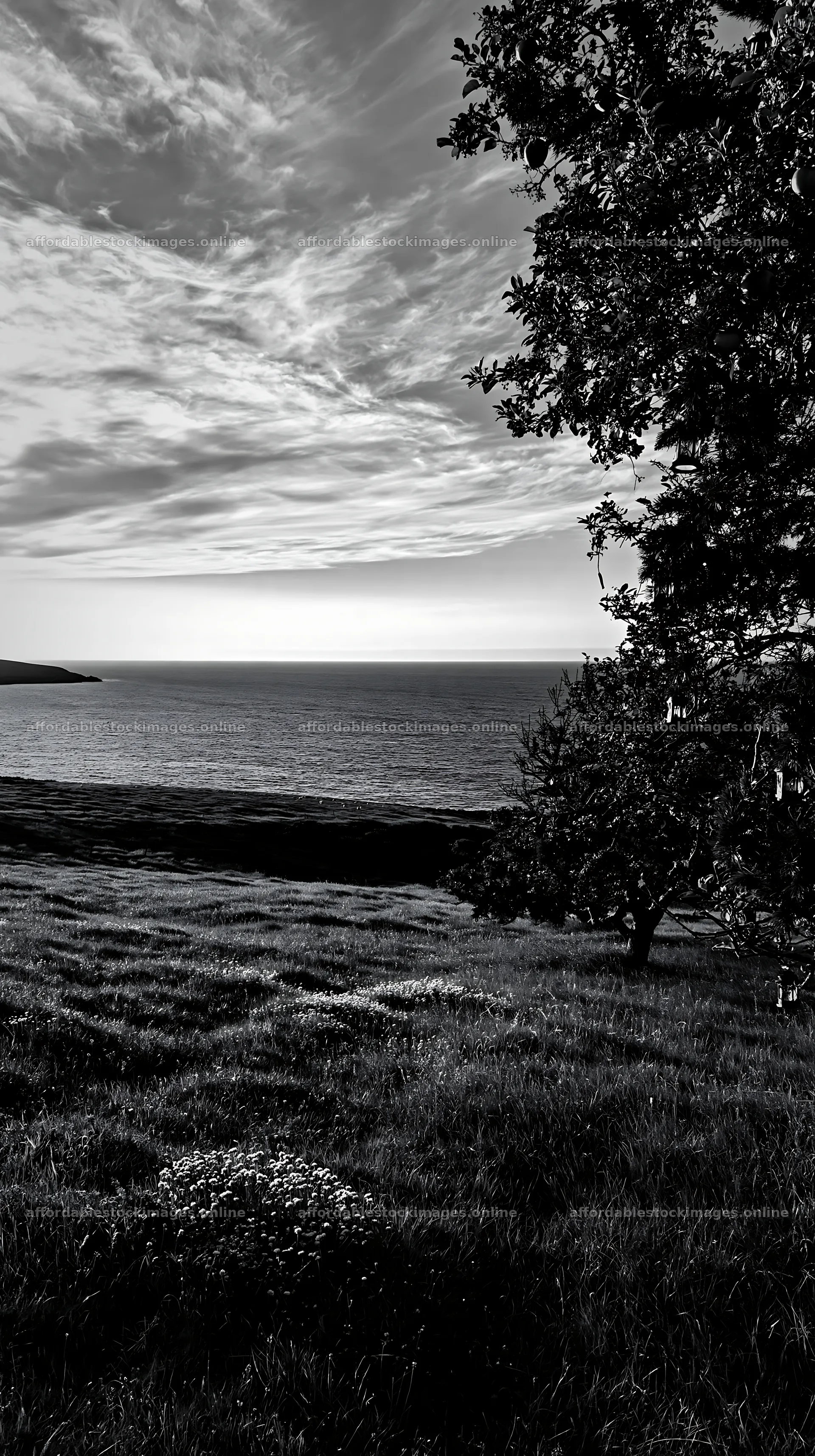 Christmas meadow with apple trees and view of ocean – stock images 5938x10608