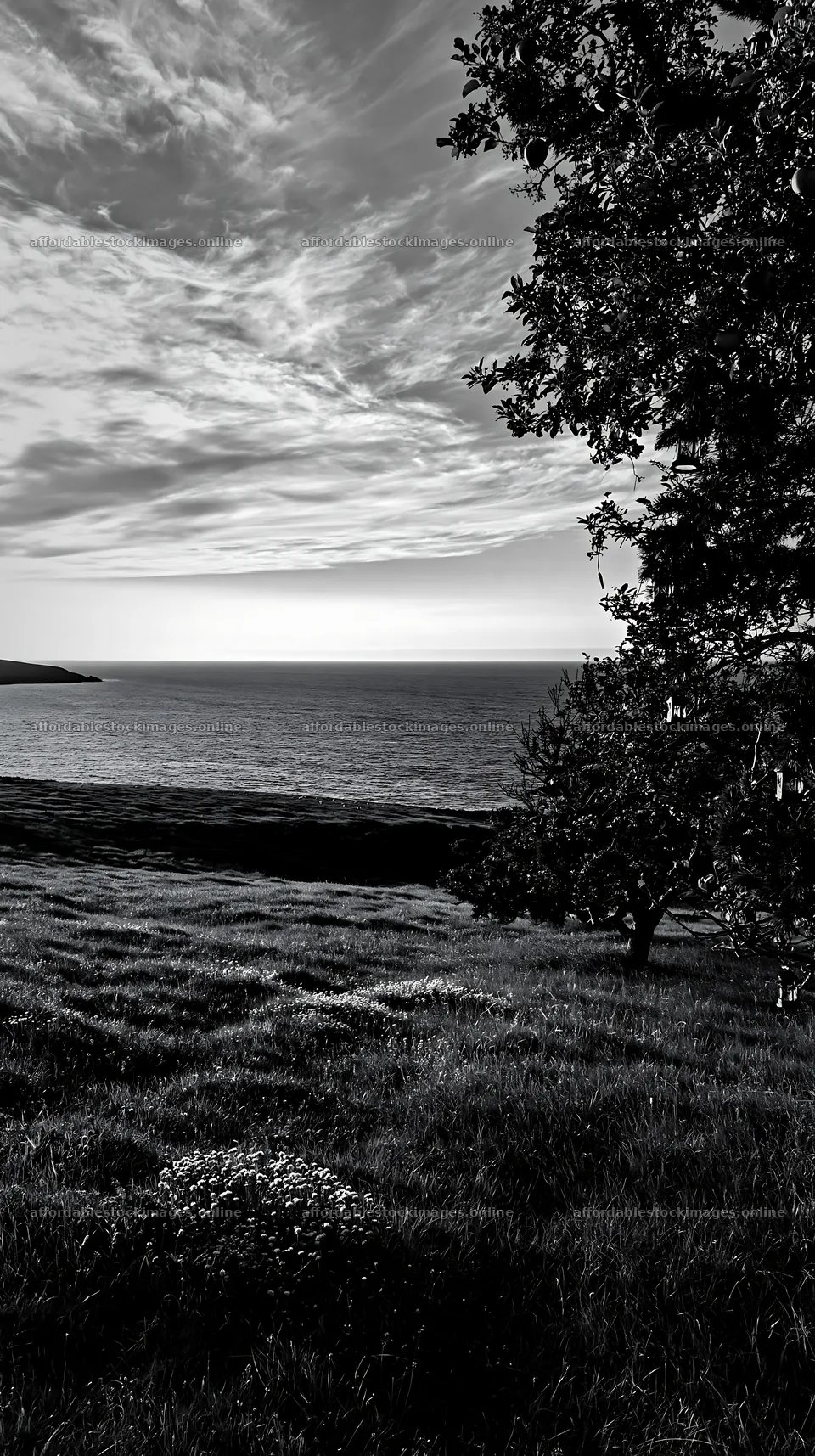 Christmas meadow with apple trees and view of ocean – stock images 5938x10608