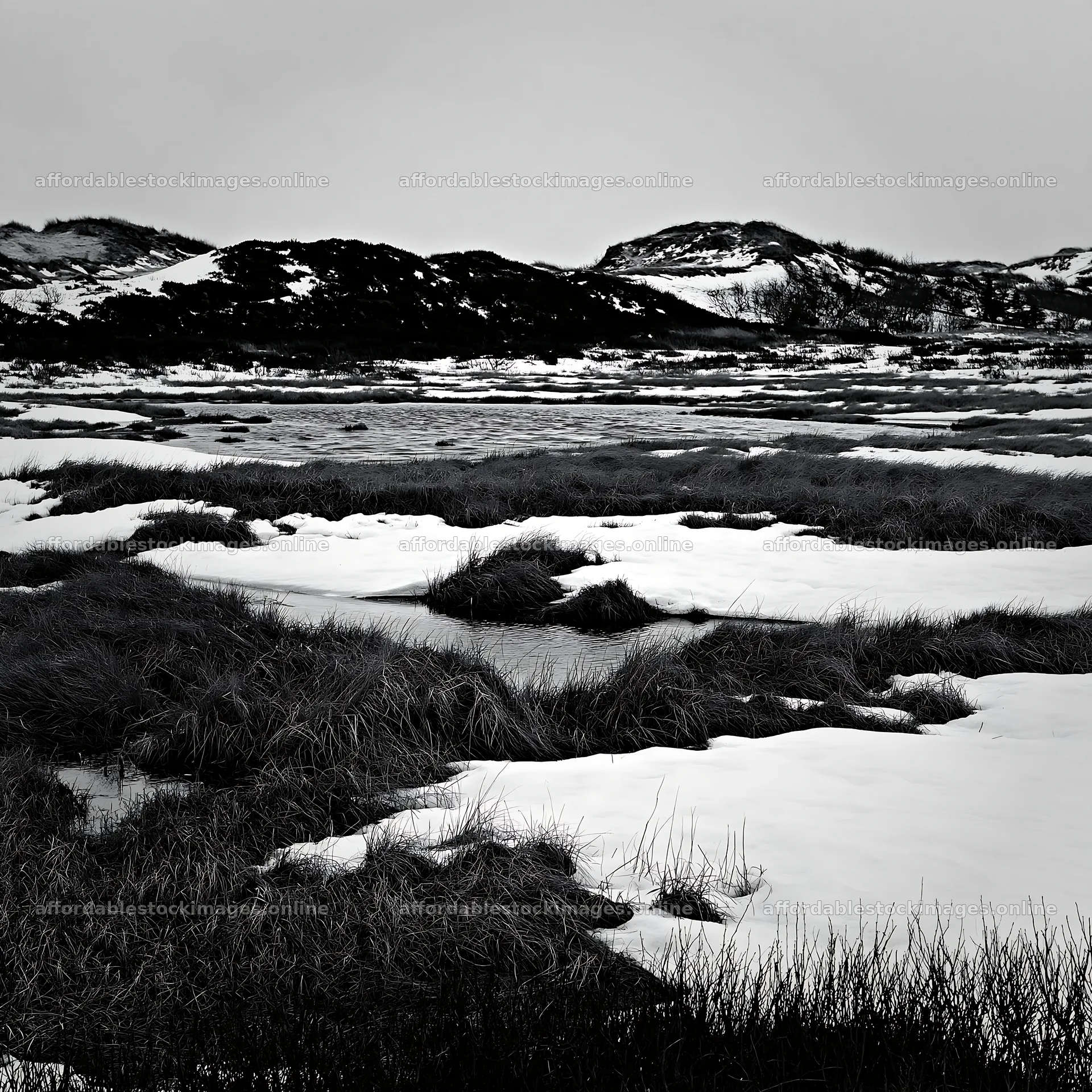 Dune meadow with snow in a winter landscape – stock images 7938x7938