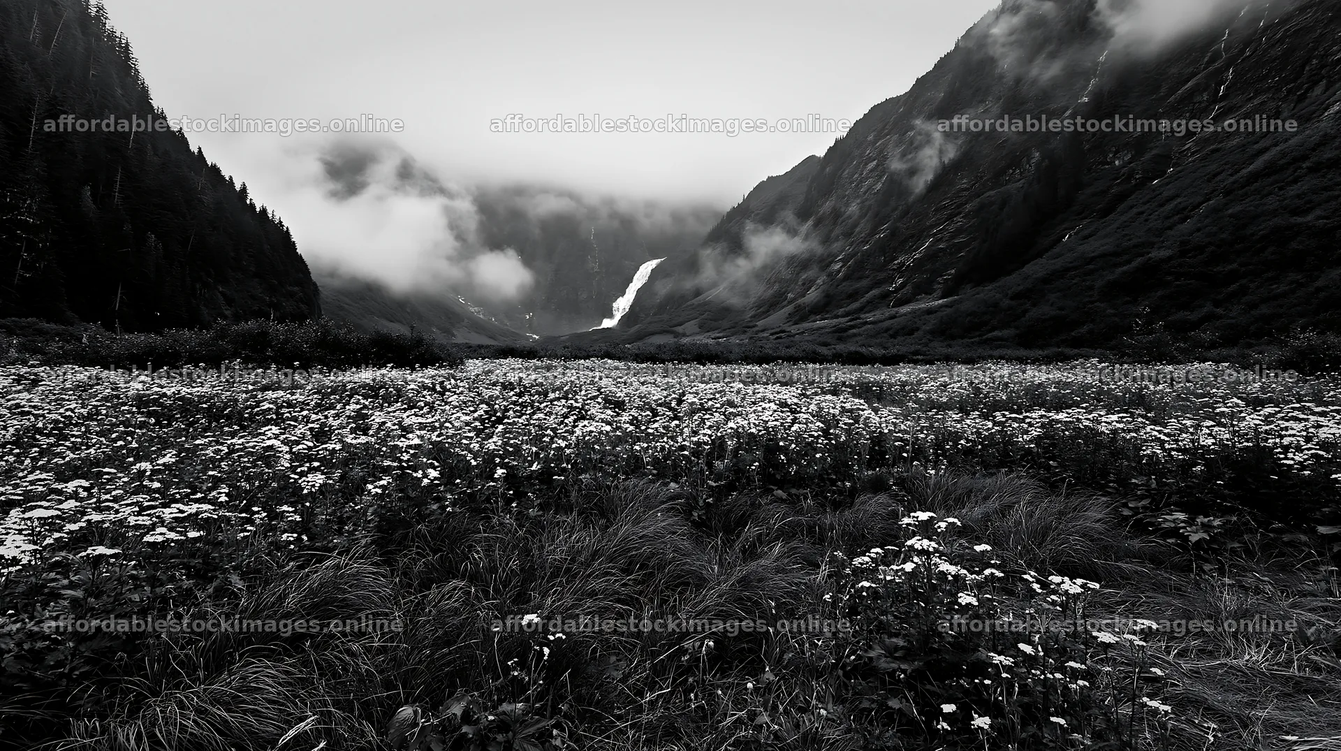 Misty mountain waterfall in a meadow with wildflowers – stock images 10608x5938