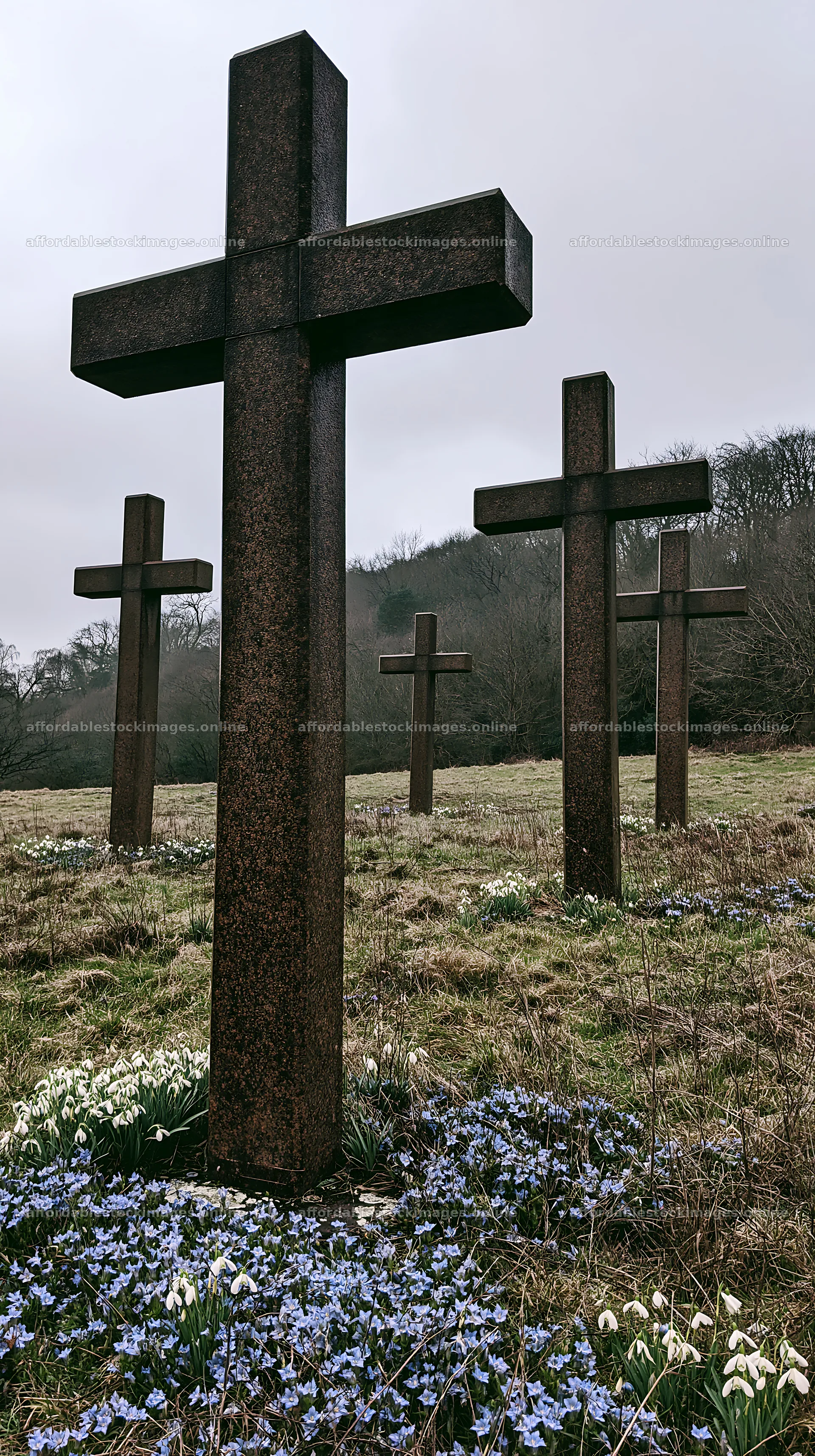 Multiple Christian crosses in a quiet Christmas meadow – stock images 5938x10608