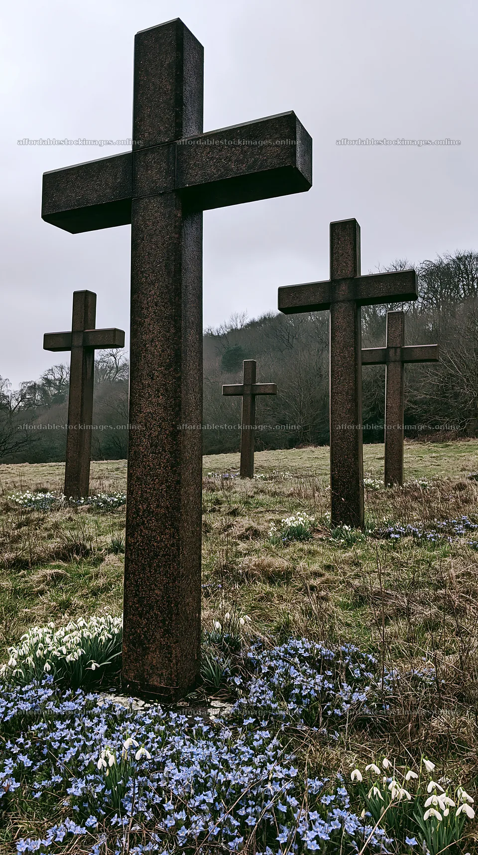 Multiple Christian crosses in a quiet Christmas meadow – stock images 5938x10608