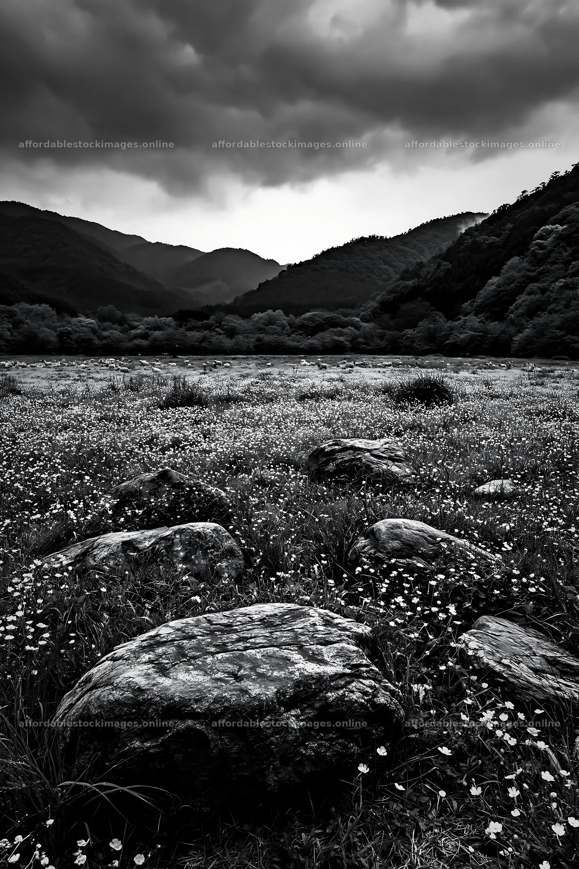 Kyoto spring wildflower meadow with stone foreground – stock images 6480x9722