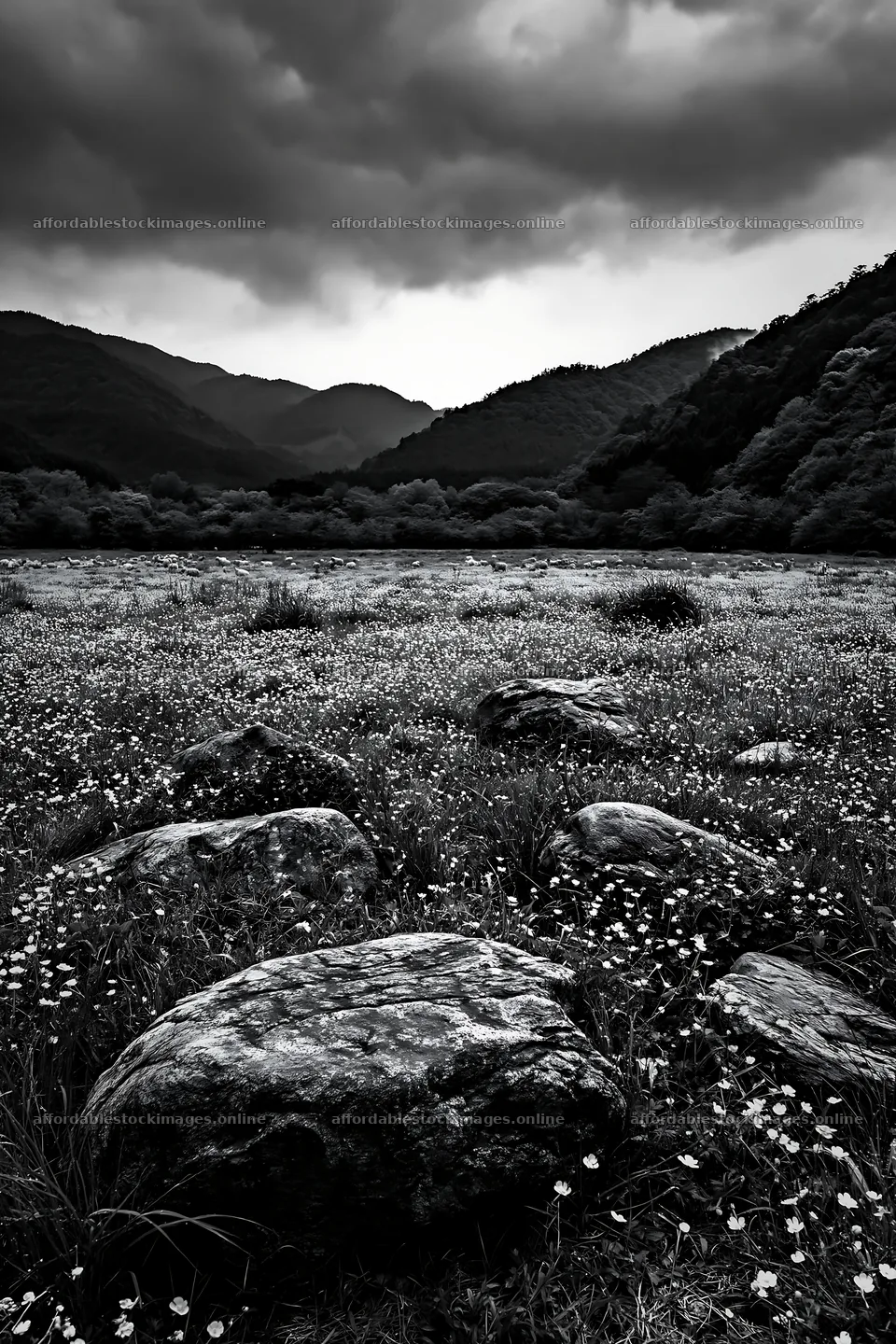 Kyoto spring wildflower meadow with stone foreground – stock images 6480x9722