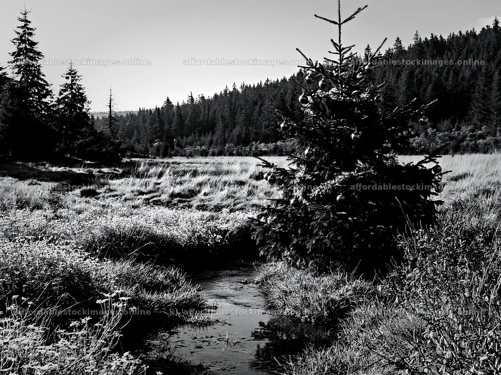Christmas tree with ornaments beside stream in meadow – stock images 9174x6866
