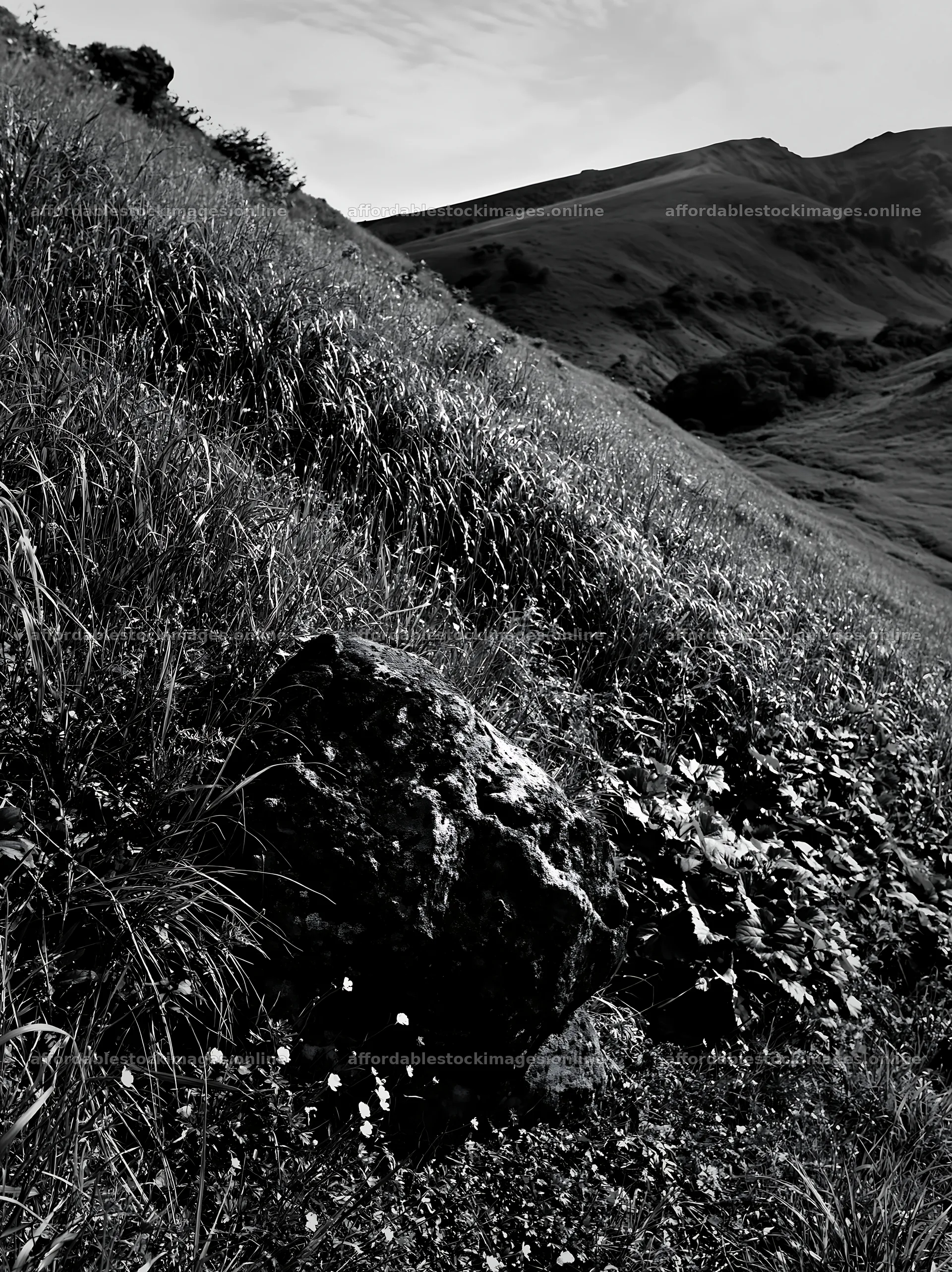 Aomori climate resilient meadow with boulder under blue sky – stock images 6866x9174