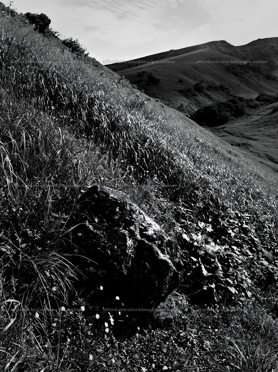 Aomori climate resilient meadow with boulder under blue sky – stock images 6866x9174