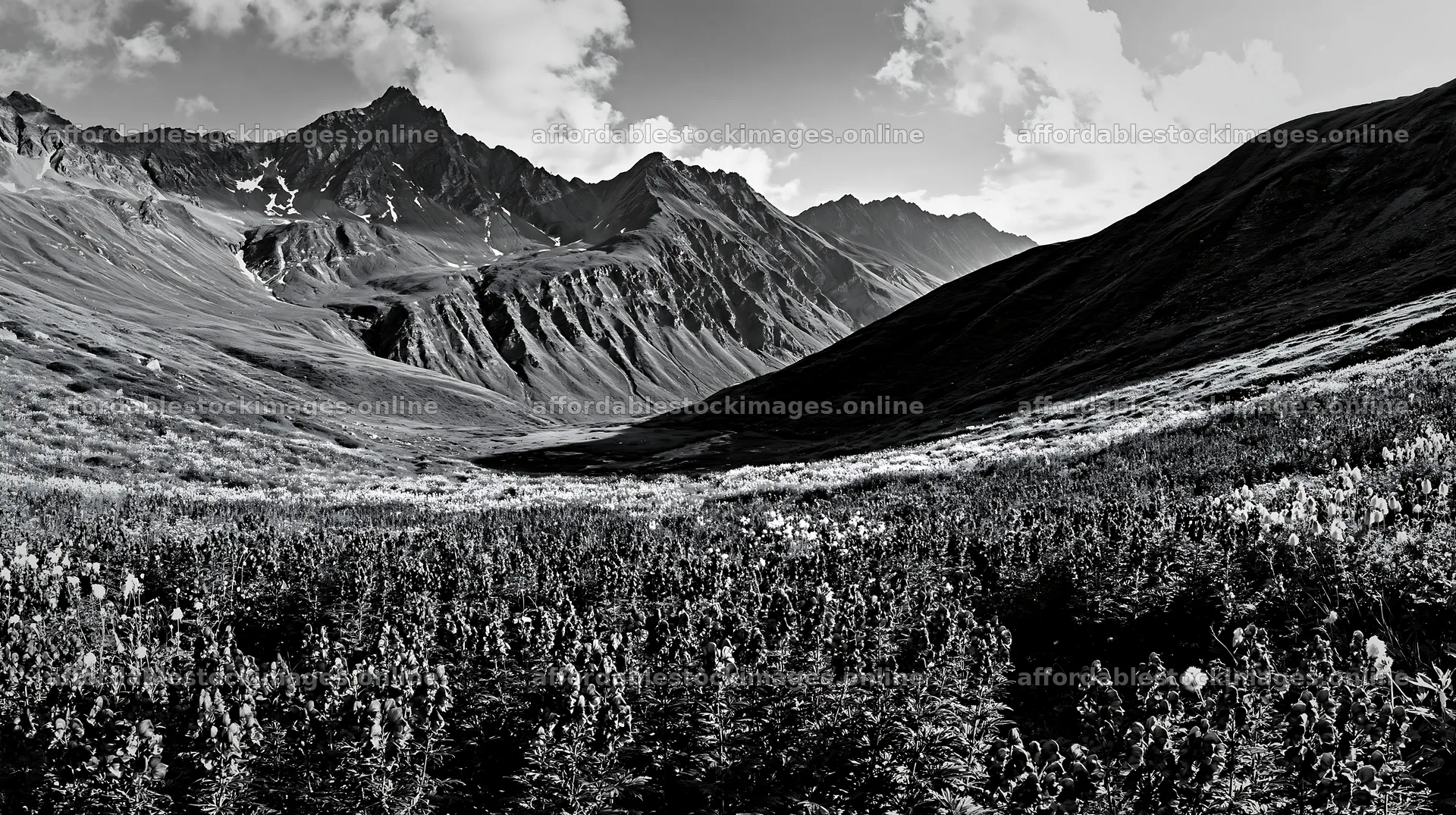 Swiss alpine meadow with mountains in black and white – stock images 10608x5938