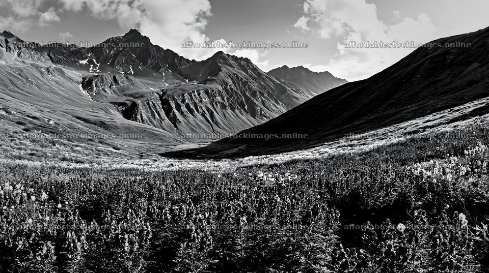 Swiss alpine meadow with mountains in black and white – stock images 10608x5938