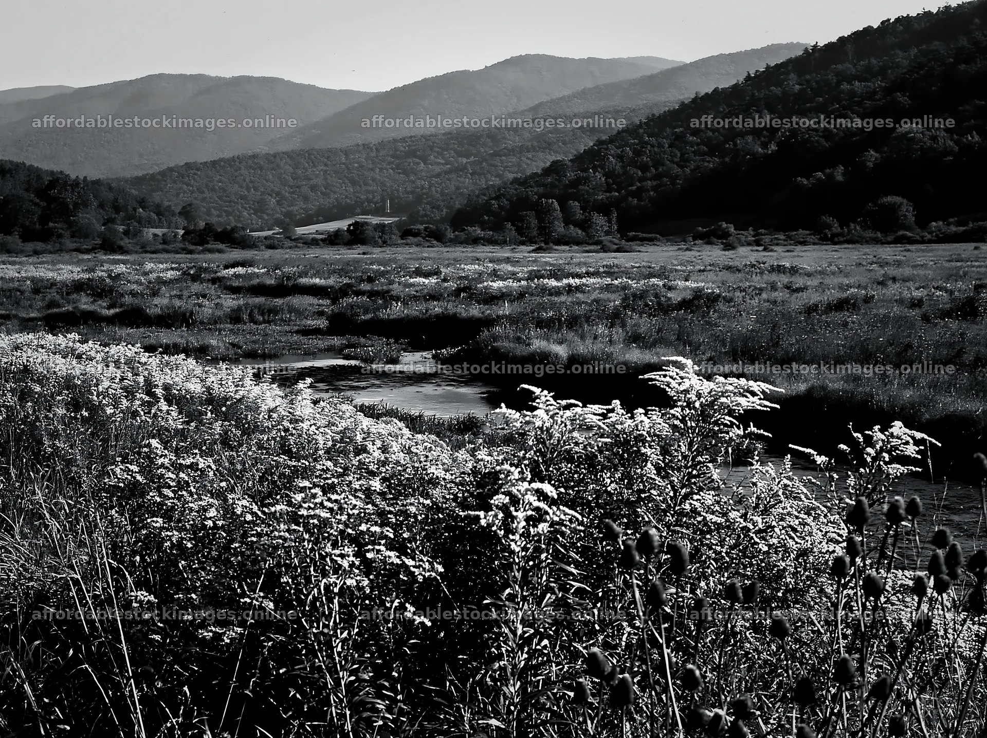 High contrast meadow stream landscape with mountains – stock images 9174x6866