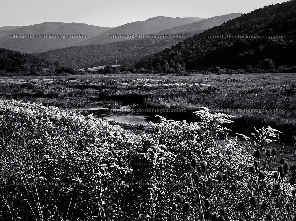 High contrast meadow stream landscape with mountains – stock images 9174x6866