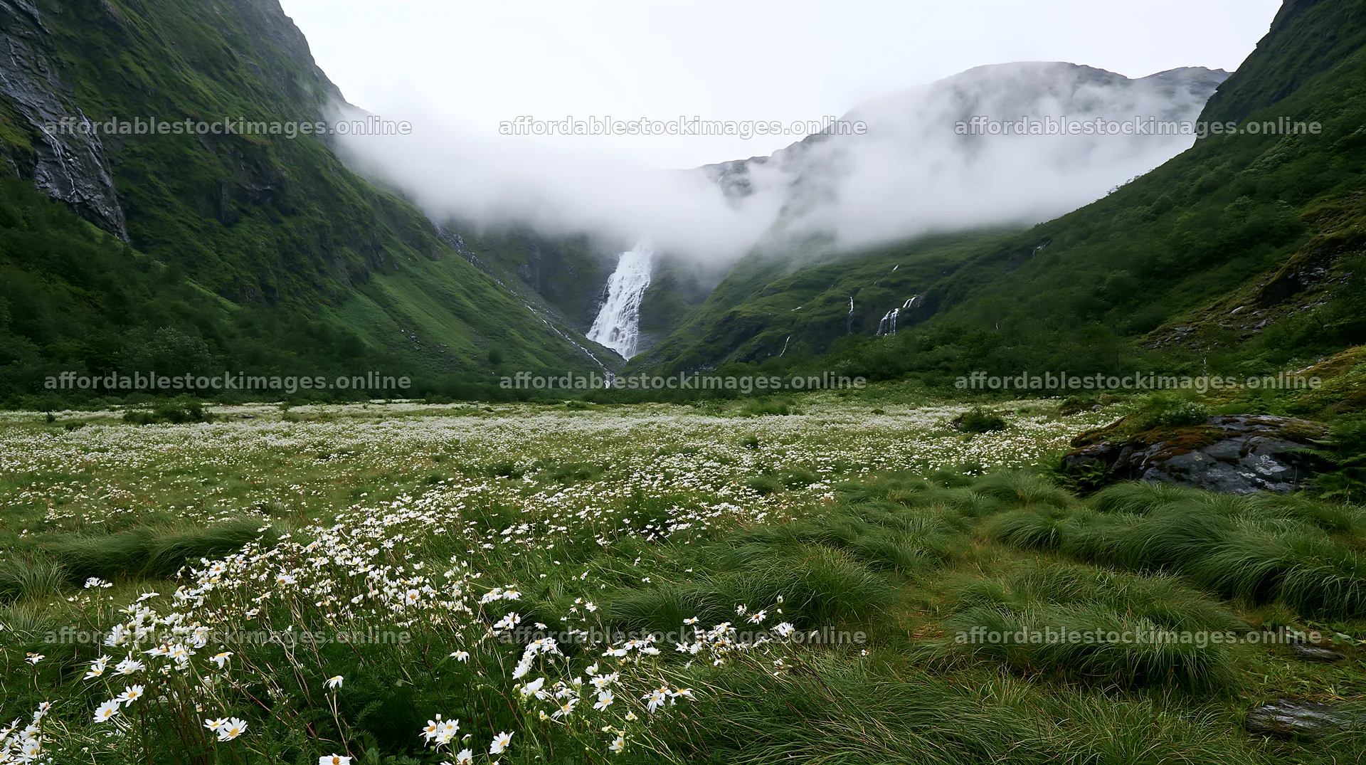 Misty waterfall in mountain meadow with wildflowers – stock images 10608x5938