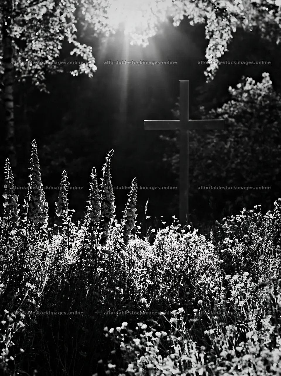 Christian cross with sunrise over meadow – stock images 6866x9174