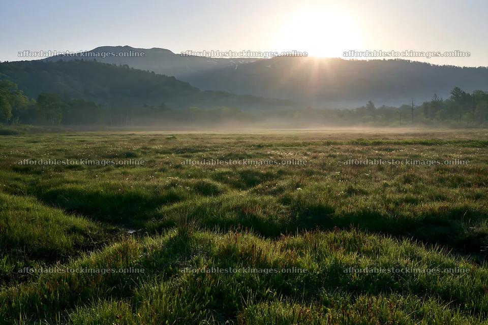 Expansive Hokkaido restoration meadow with dewdrops – stock images 9722x6480