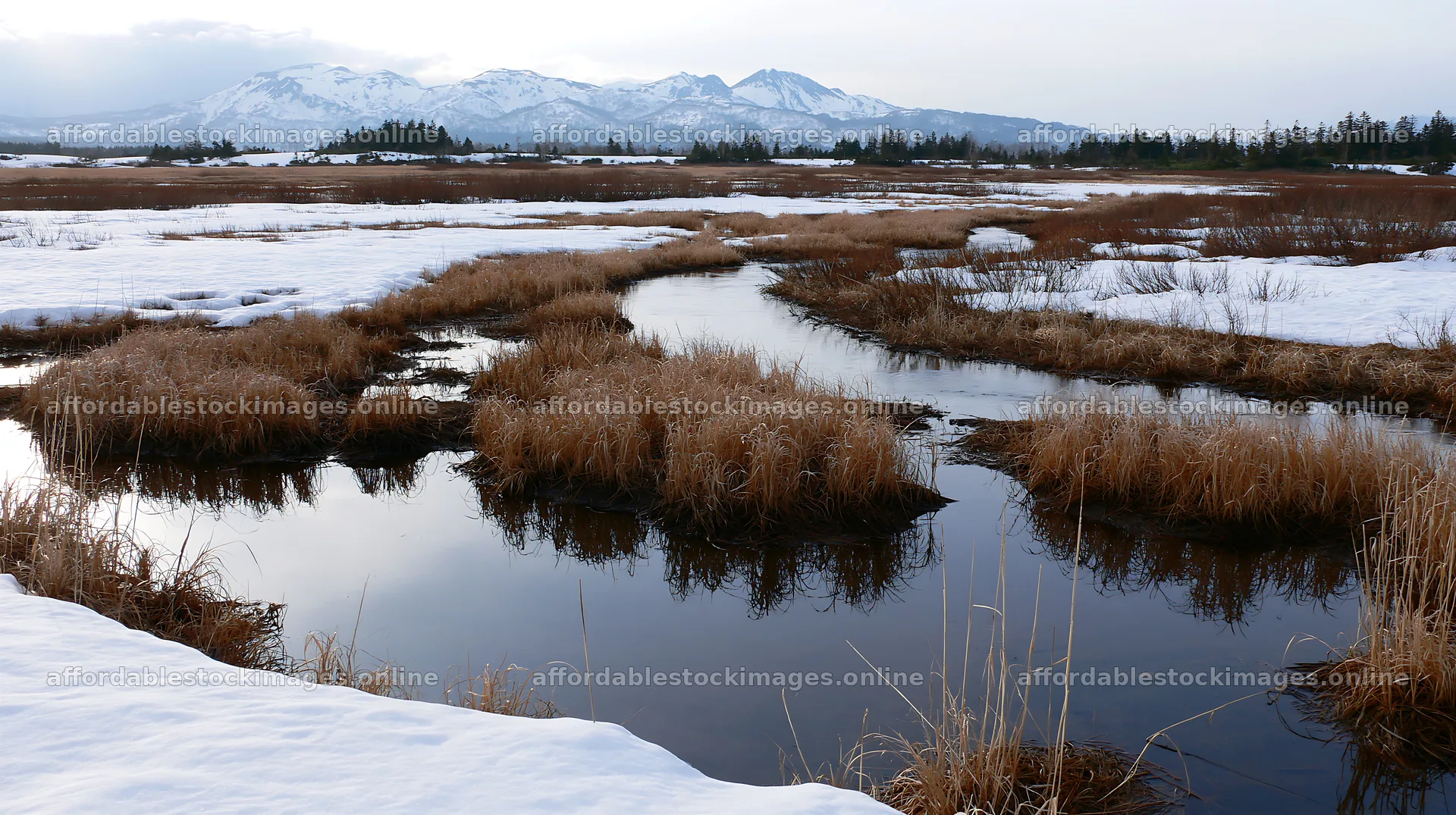Akita meadow with silver grasses in snowmelt landscape – stock images 10608x5938
