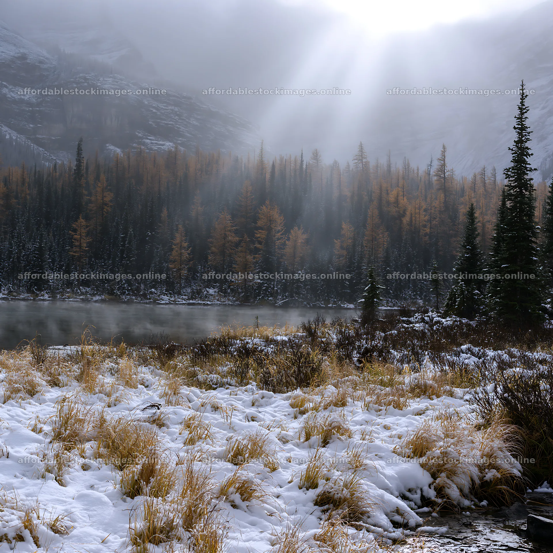 Snowy lakeside meadow with trees and fog in the background – stock images 7938x7938